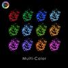 Remote Controlled 50 LED Multi-Color Fairy String Lights