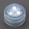 White Submersible Triple LED Light
