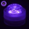 UV Black Light Submersible Triple LED Light