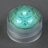 Teal Submersible Triple LED Light