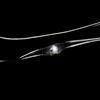 10 Micro LED White Submersible String Light