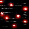 20 Micro LED Red Submersible String Light