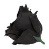 Bloomed Rose Buds - Black Fake Rose Buds