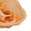 Bloomed Rose Buds - Champagne Fake Rose Buds