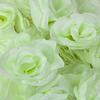 Bloomed Rose Buds - White Mint Fake Rose Buds