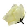 Bloomed Rose Buds - Cream Fake Rose Buds