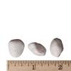 Small Snow White Rock - Decorative Stone Pebbles