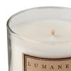 Rhubarb Scented Soy Candle by Lumaness