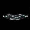 Clear Glass Bobeche Wavy Serrated Rim