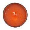 Large Scented Beeswax Coconut Candle - Pineapple Passionfruit