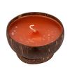 Large Scented Beeswax Coconut Candle - Pineapple Passionfruit