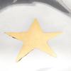Aluminium Triangle Plate with Gold Star Inlay