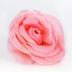 Bloomed Rose Buds - Peach Blush Fake Rose Buds