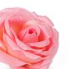 Bloomed Rose Buds - Peach Blush Fake Rose Buds