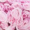 Bloomed Rose Buds - Pink Fake Rose Buds