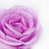Bloomed Rose Buds - Lavender Fake Rose Buds