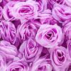 Bloomed Rose Buds - Lavender Fake Rose Buds