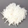 White Feather Boa