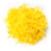 Yellow Feather Boa