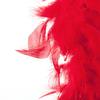 Red Feather Boa