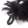 Black Feather Boa