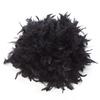 Black Feather Boa