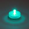 Acolyte Submersible LED Light - Teal FloraLyte