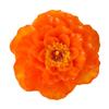 Floating Peony Flower Candle