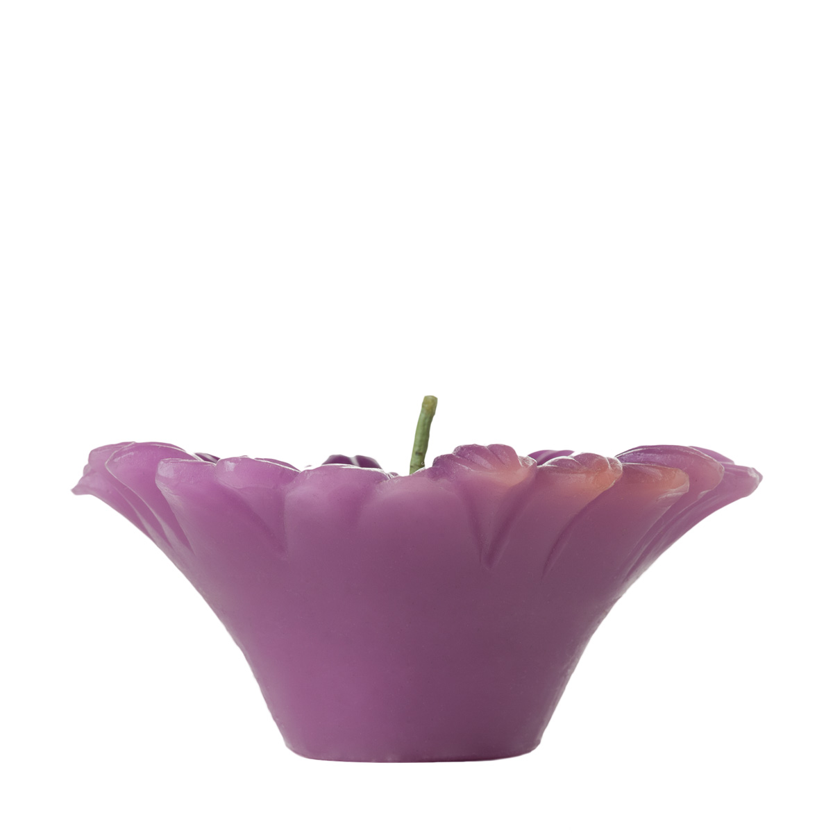 Floating Gerber Daisy Flower Candle