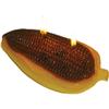 Unique Creative Decorative - Native American Corn Candle - Halloween