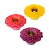 Floating Dark Zinnia Candles