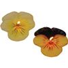 Floating Viola Johnny Jump Up Candle - Yellow Ivory