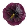 Floating Pansy Flower Candle