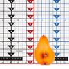 Floating Half Pears Candle - Scented