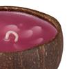 Scented Beeswax Coconut Candle - Plumeria