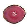 Floating Coconut Candle with Scented Beeswax - Plumeria