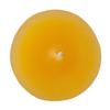 Scented Beeswax Votive Candle - Mango Coconut Guava