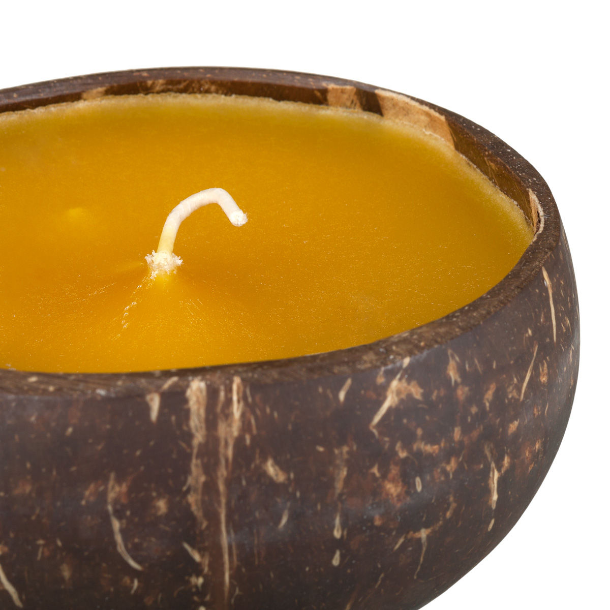 Large Scented Beeswax Coconut Candle Mango Coconut Guava