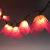 9Ft Tropical Flower Lights- 110V AC String Lights Pink & Natural White