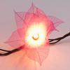 9Ft Tropical Flower Lights- 110V AC String Lights Pink & Natural White