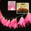 9Ft Tropical Flower Lights- 110V AC String Lights Pink & Natural White
