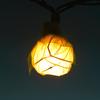 9Ft Romantic Rose Lights Decor - 110V AC String Lights- Natural White