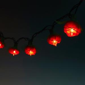 9Ft Romantic Rose Lights Decor - 110V AC String Lights- Red
