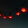 9Ft Romantic Rose Lights Decor - 110V AC String Lights- Red