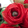 9Ft Romantic Rose Lights Decor - 110V AC String Lights- Red