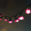 9Ft Romantic Rose Lights Decor - 110V AC String Lights- Lavender