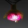 9Ft Romantic Rose Lights Decor - 110V AC String Lights- Lavender