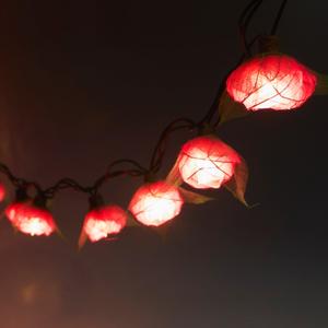 9Ft Romantic Rose Lights Decor - 110V AC String Lights- Pink