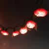 9Ft Romantic Rose Lights Decor - 110V AC String Lights- Pink