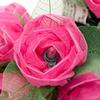 9Ft Romantic Rose Lights Decor - 110V AC String Lights- Pink